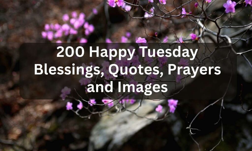 200-happy-tuesday-blessings-quotes-prayers-and-images