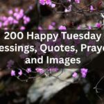 200-happy-tuesday-blessings-quotes-prayers-and-images