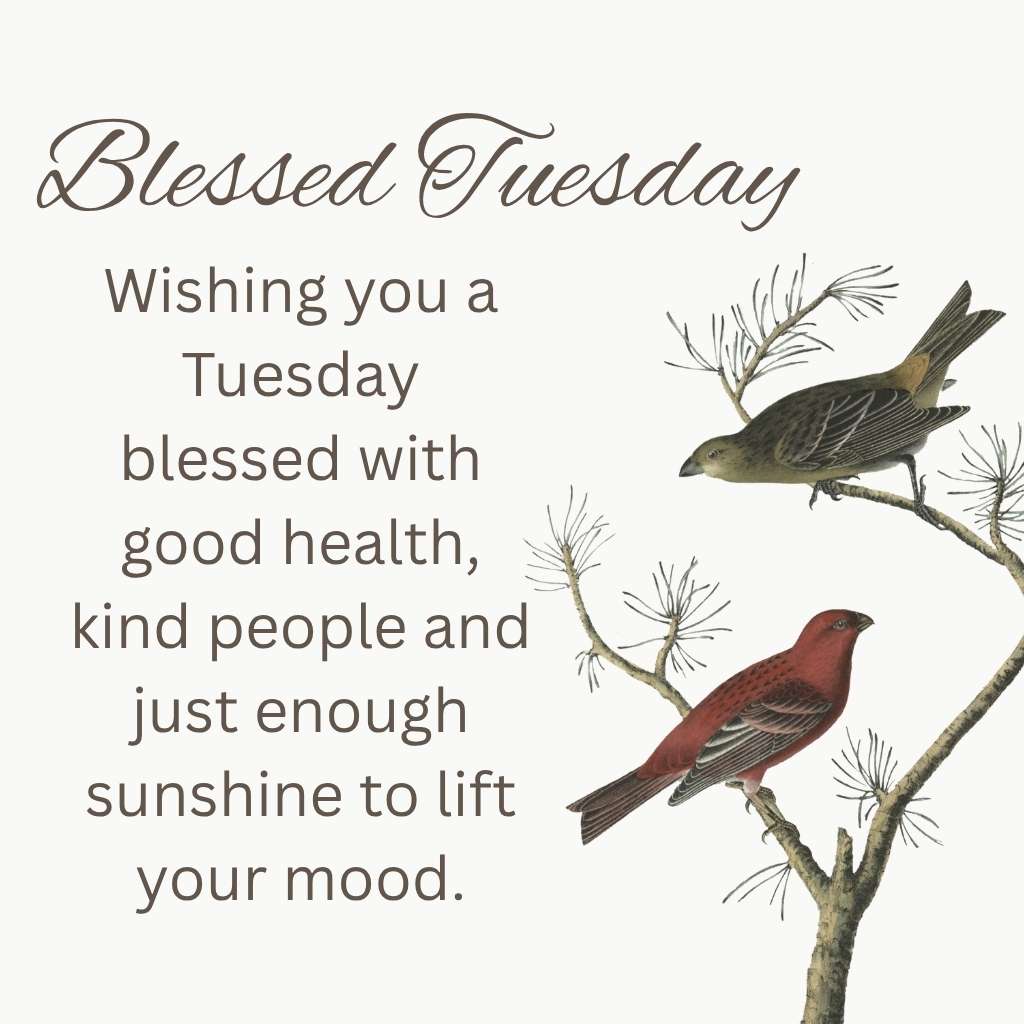 have-a-blessed-tuesday
