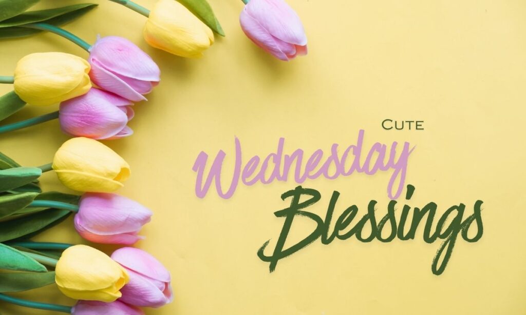 300-cute-wednesday-blessings-quotes-prayers-images-and-wishes-for-friends-2026