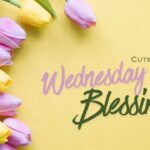 300-cute-wednesday-blessings-quotes-prayers-images-and-wishes-for-friends-2026