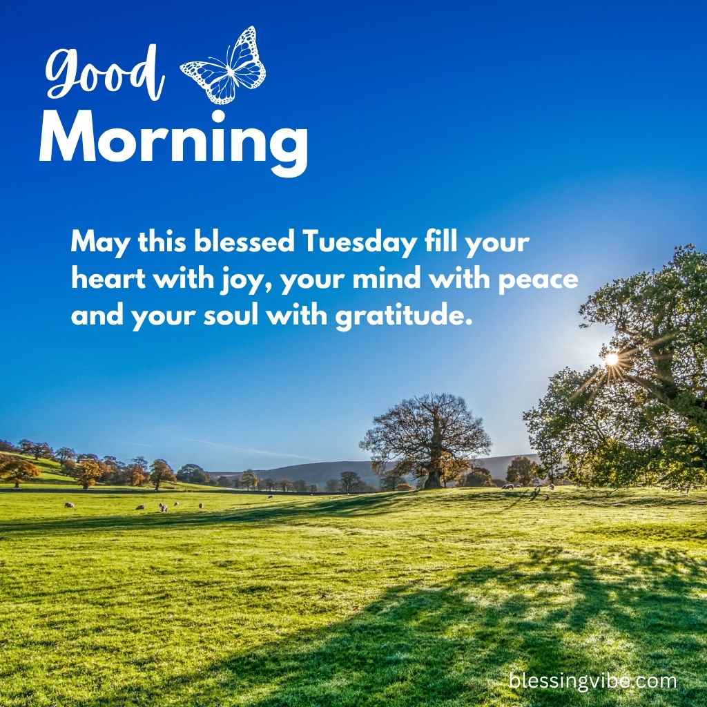 beautiful-good-morning-blessed-tuesday