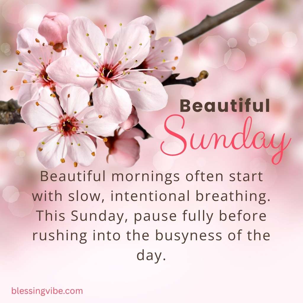 beautiful-sunday-morning-blessings
