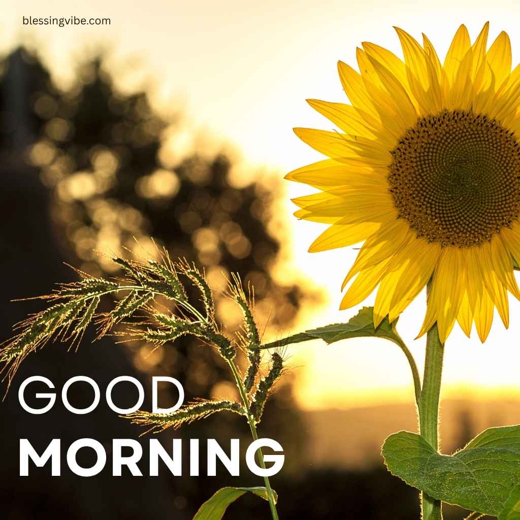 powerful-good-morning-prayers-and-bible-verses